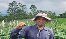 Proyek IJHOP: Dari Garut ke Jepang, Sukses Petani Lokal Jadi Sorotan Internasional