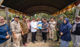 Kolaborasi Kementan, Pemda Boalemo, dan TNI  Sukses Tambah 558 Hektar Pertanaman Padi di Boalemo