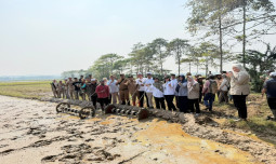 Tingkatkan LTT dan Oplah, Kementan Terapkan Metode PM-AAS di Provinsi Banten
