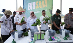 Antisipasi Dampak El Nino, Mentan Dorong Percepatan Tanam Padi di Lampung