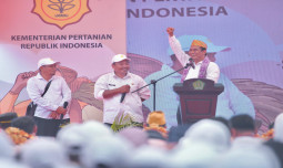 "Sultra Mulai Masuk Musim Hujan, Mentan Ajak Petani Segera Percepat Masa Tanam"