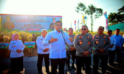 Lahir dari Keluarga Petani, Sudaryono Bocorkan Cara Tingkatkan Hasil Produksi Jagung