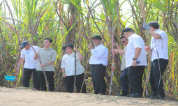 Wapres Gibran dan Mentan Amran Berikan Solusi untuk Petani Tebu, Target Swasembada Gula di 2026