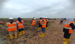 Siapkan SDM Unggul, Kementan Jalin Kolaborasi Dengan GAPGINDO