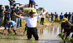 Lomba Unik, Mentan Adu Cepat Tanam Lawan Petani Gowa