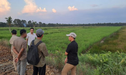 5 Organisasi Mahasiswa Belajar Langsung Strategi Brigade Pangan di Kalimantan