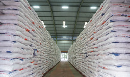 Menteri Jepang Mundur karena Krisis Beras, Indonesia Kokoh dengan Produksi yang Makin Kuat