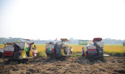Dua Tahun Kabinet Merah Putih, Kementan Pacu Modernisasi Alsintan Menuju Swasembada Pangan Berkelanjutan