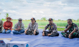 Jadikan Bengkulu Sebagai Penyangga Bawang Merah Di Pulau Sumatera, Kementan Masifkan Program Penambahan Areal Tanam