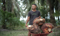 Presiden Prabowo Tegaskan Sawit Indonesia Harus Berdaulat, Produsen Terbesar Dunia Tak Boleh Lagi Ditentukan Bangsa Lain