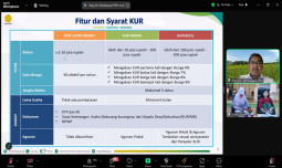 Lewat MSPP, Kementan Dorong Generasi Muda Manfaatkan Program KUR