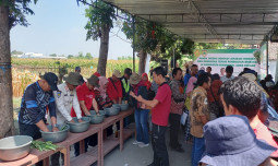 Kadis Pertanian Sukoharjo : Demplot Biosaka jagung produksi naik, hemat pupuk 50-75 persen