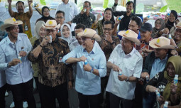 Zulkifli Hasan Kunjungi Sentra Sapi Perah Kementan di Baturraden, Dukung Program MBG