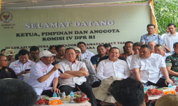 PSR untuk Tingkatkan Produktivitas Kelapa Sawit Rakyat di Batu Bara, Sumut
