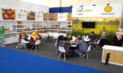 Upland Project Ramaikan Trade Expo Indonesia, Koki Andal Demo Masak Domba Batur