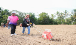 Sukseskan PAT, Kementan Lakukan Tanam  Padi Gogo serta Uji Pompanisasi di Bone Bolango