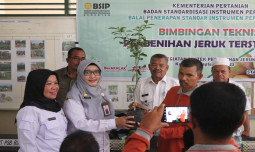 Tingkatkan Standar Benih Jeruk di Kab. Kampar, BSIP Riau Gelar Bimtek