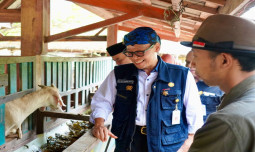 Kementan Pastikan Petani Harus "Okane Mochi"