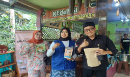 Tangkap Peluang, Petani Millenial Ciamis Sukses Kembangkan Potensi Kopi Robusta