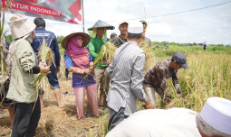 Kementan Perkuat Kelembagaan Petani Melalui Korporasi