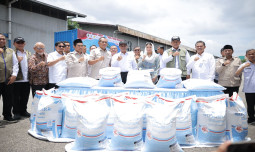 Amankan Produksi Pangan 2026, Kementan Percepat Rehabilitasi Irigasi Tersier