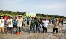 Tanam Perdana Lokasi Optimasi Lahan di Kotawaringin Barat: Langkah Nyata Menuju Swasembada Pangan