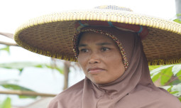 UPLAND Project Berfokus Pada Dorongan Peran Perempuan di Sektor Pertanian