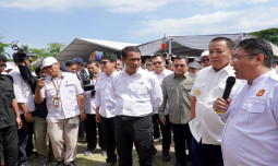 Bersama Penyuluh dan Petani di Lampung, Mentan Amran Bertekad Wujudkan Swasembada Pangan