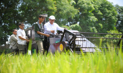 Dorong Swasembada Gula, Kementan Perkuat Hilirisasi dan Produktivitas Tebu di Sragen