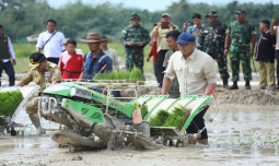 Lewat Brigade Pangan, Wamentan Sudaryono Optimistis Jambi Perkuat Ketahanan Pangan Nasional