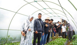UPLAND Project Kementan Siapkan Kelembagaan Petani untuk Ekspor