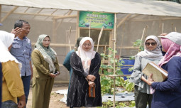 UPLAND Dorong Program P2L bagi Kelompok Wanita Tani (KWT)