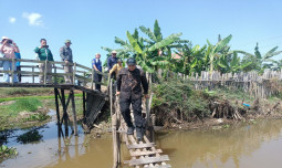 Kementan Gandeng Multi Stakeholder, Gencarkan Penambahan Areal Tanam di Kalsel