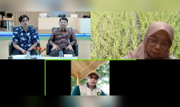 Tingkatkan Produktivitas dan Keuntungan Berkelanjutan, Kementan Dorong Penyuluh Adopsi Inovasi Budidaya Padi