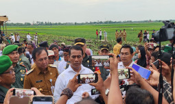 Produksi Bawang Merah Terus Meningkat, Mentan Hadiri Panen Raya di Kabupaten Brebes