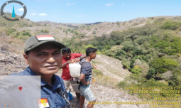 Sinergi Berbagi Pihak dalam Mengatasi Hama Belalang Kembara Melalui Mapping dan Pengendalian di Pulau Sumba