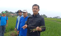 Pengelolaan Pertanian di Jonggol Bogor Dapat Apresiasi Kementan