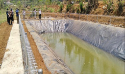 Hadapi Musim Kemarau, Kementan Perkuat Mitigasi Kekeringan di Sektor Perkebunan