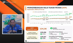 Kesejahteraan Petani Kian Meningkat, Nilai Tukar Petani September Tembus 124,36