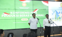 Data BPS: Produksi Pertanian Tumbuh Tertinggi pada Triwulan I 2025, Jadi Penopang Utama Ekonomi Nasional