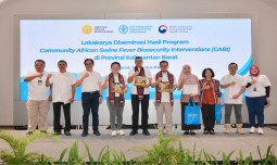 Kementerian Pertanian dan FAO Capai Keberhasilan dalam Program Biosekuriti untuk Mengatasi Demam Babi Afrika di Kalimantan Barat