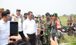 Soal Tentara Bantu Petani Banyak Dipertanyakan, Ini Penjelasan Mentan Amran