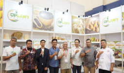 Lewat Upland Kementan, Ekspor Produk Pertanian Disebut Jadi Kunci Kurangi Impor