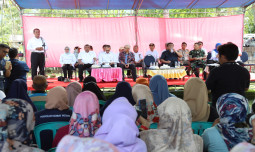 Mentan di Gorontalo: Jaga Pompanisasi  Agar Bisa Tanam 3 Kali Setahun