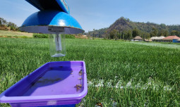 Komitmen Penuh Kementan Dalam Hadapi Tantangan Iklim Ekstrim El Nino