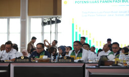 Wamentan Sudaryono Minta Kepala Daerah Siapkan Anggaran Vaksin PMK untuk Lindungi Sapi Ternak