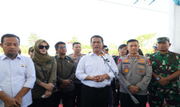 Panen Raya Jagung Serentak Jadi Momentum Percepatan Swasembada Pangan