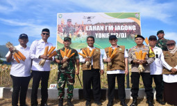 Gerakan Tanam dan Panen Jagung Di Aceh, Mentan Targetkan Produksi Surplus Hingga Ekspor