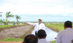Percepat Pengembangan Merauke Jadi Lumbung Pangan, Mentan Amran Maksimalkan Penggunaan Teknologi