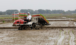 Rice Transplanter: Inovasi untuk Efisiensi dan Produktivitas Pertanian Padi